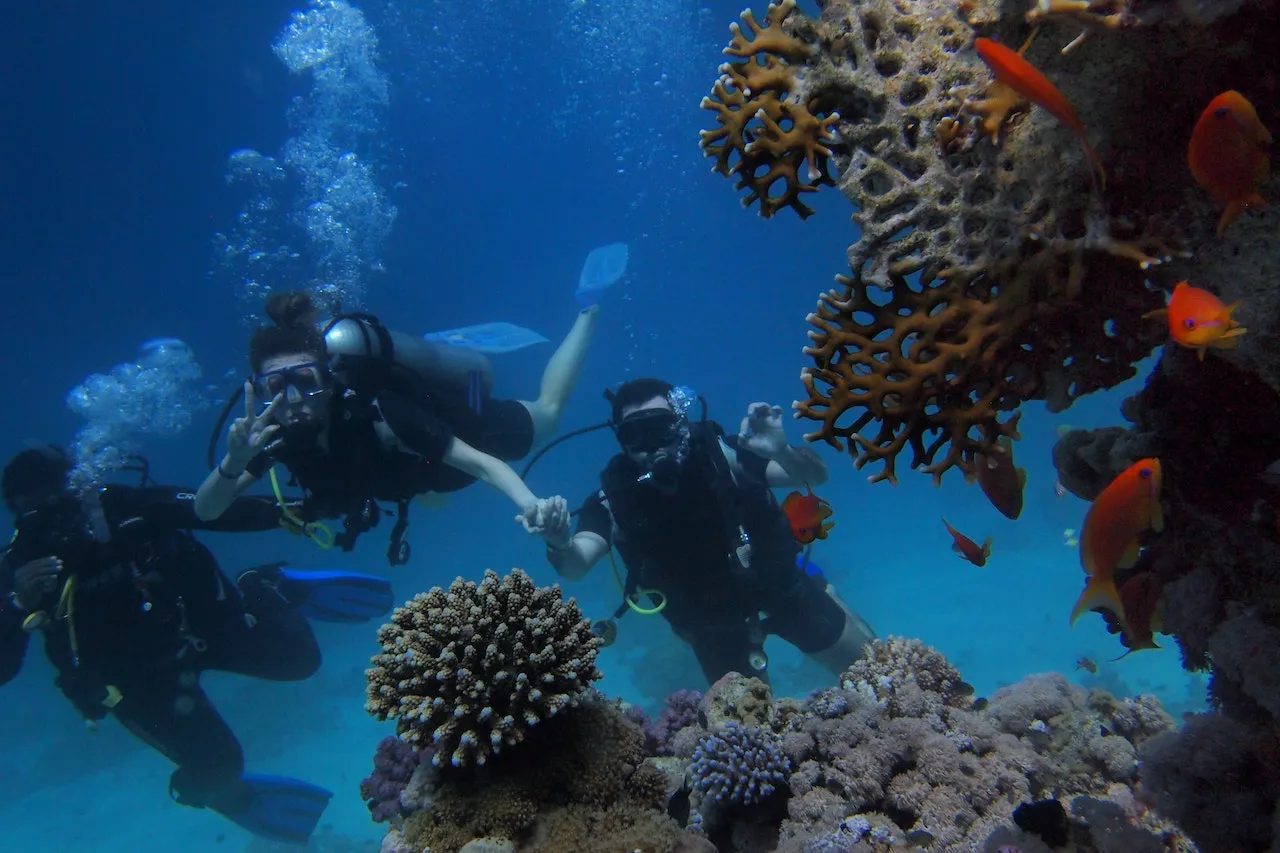  Scuba Diving Tour