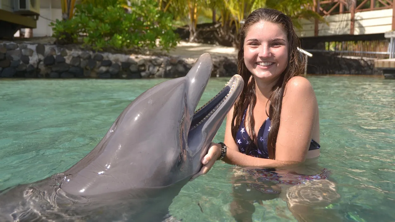  Swim with Dolphins